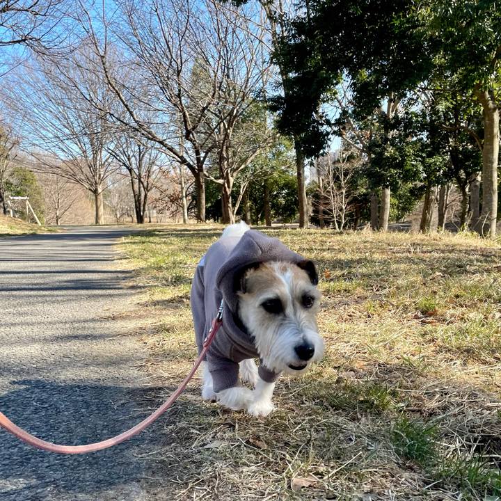 6afb4804 6660 4161 99ae e4df00977477 1645683873783