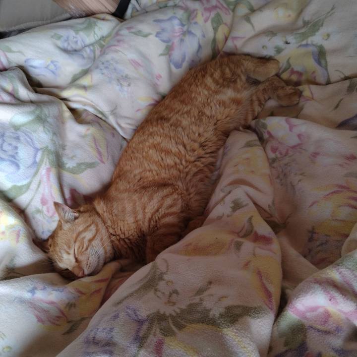 6afb52e6 e60e 43c6 8be3 5c1b8728d62d 1686179657041