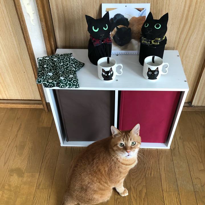 6afb5e30 4f4c 466b a1db 495acd905350 1648157713019