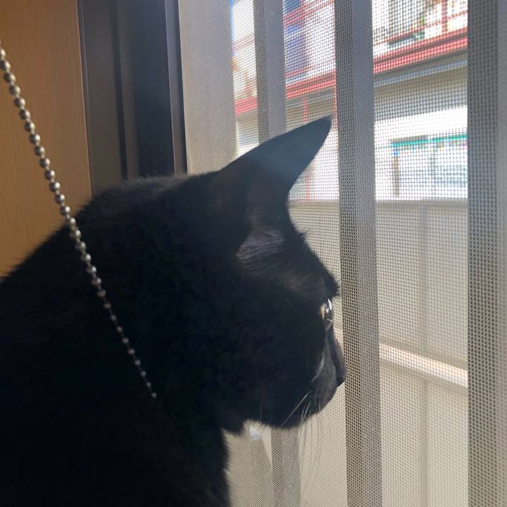 6afb7a33 c972 45c4 9acf 2746236d92f5 1547433881353