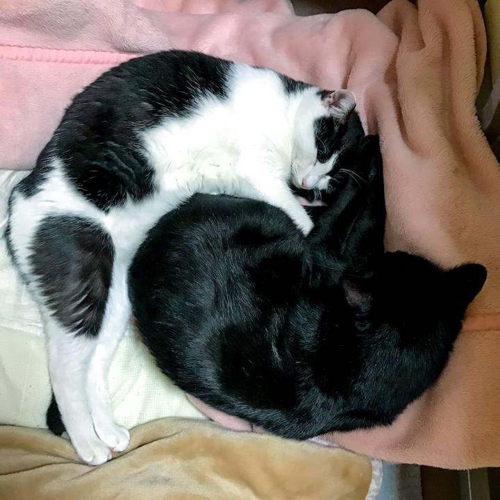 6afb7eda 4650 4f7f aaf5 dde4eb46aacb 1510148950083