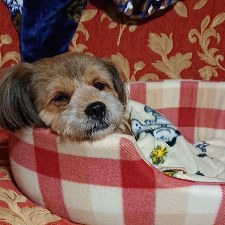 6afb883f ff0d 4739 acf7 62bd8a04b354 1572274526487