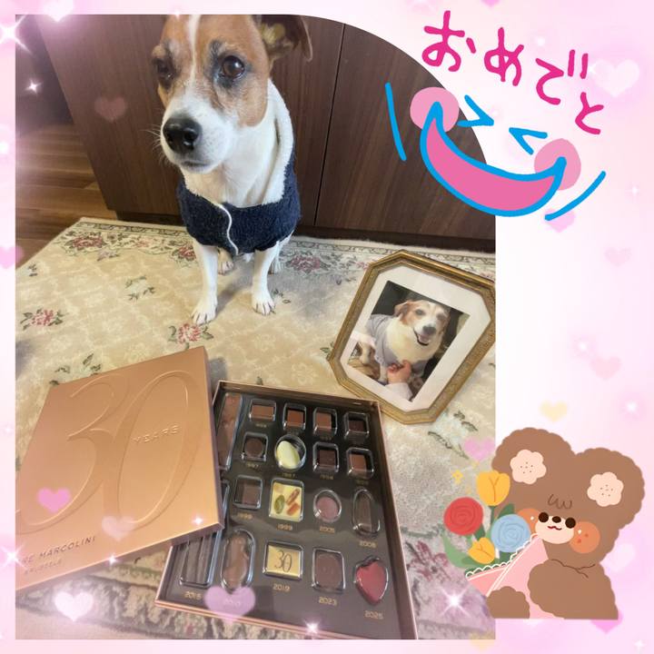 6afbda5f a4a4 4809 9cda d638ee69c529 1739533840574