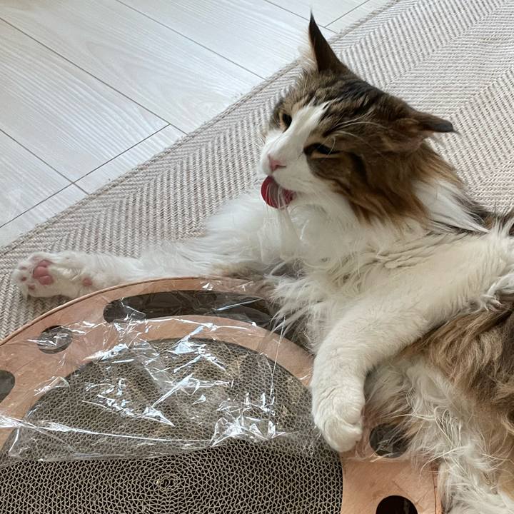 6afc1aac ca70 4a50 b73e 4d2c55da5bbc 1677794839228