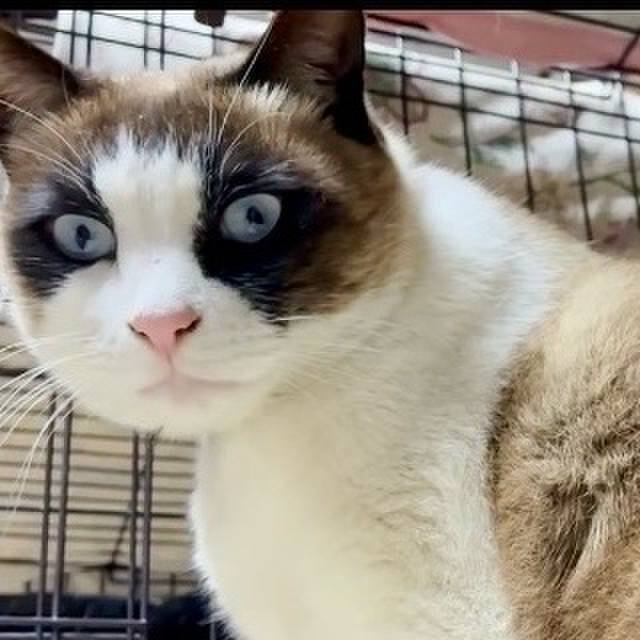 6afc4a85 4f1a 46f1 9ec8 4c809a34f8f5 1772376554115