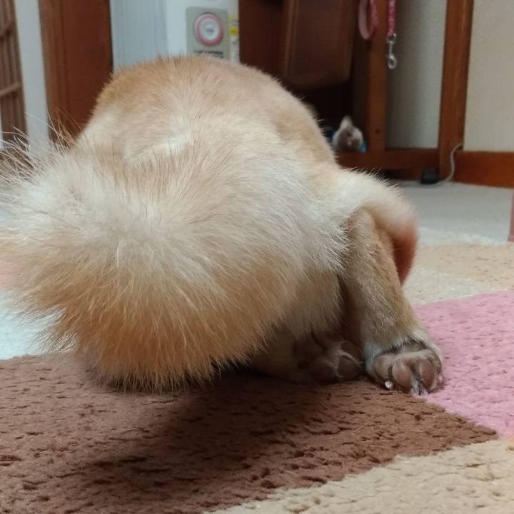 6afc5fb8 8cc2 4cf1 9902 7e6eb0c45d4a 1551693734134