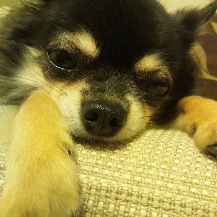 6afc986a d8d8 4832 86d4 116b0c1a6420 1598052114079