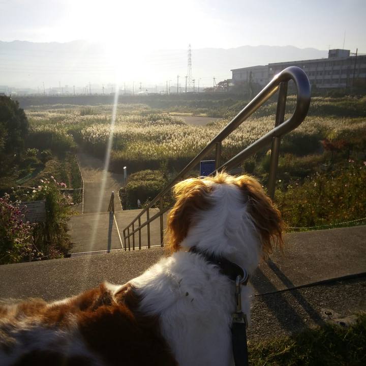 6afcde15 0a53 46a3 8788 84fdc1b37af7 1510490013169