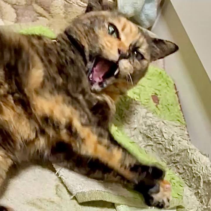 6afd028e 0afd 4e91 9653 48f9e8363dc7 1768251156929