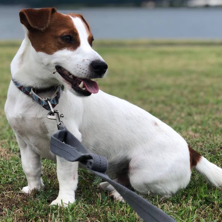 6afd41ae 15b7 4bf3 ab9a e43d22978775 1561623171770