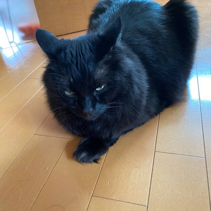 6afd6cc6 3e43 49d0 8f80 e99209d1a1b1 1588482057146