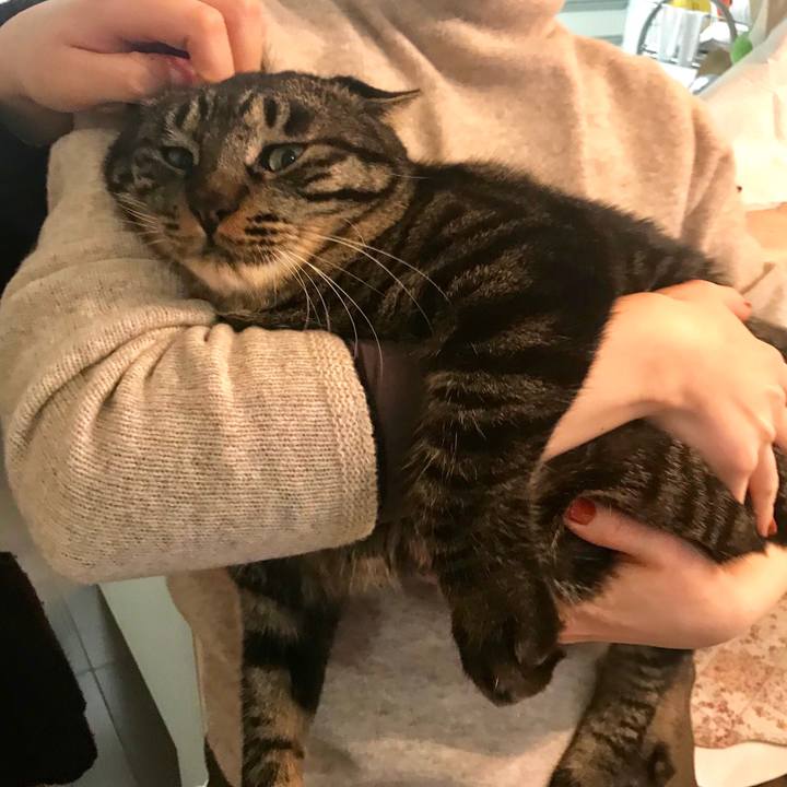 6afd6edd af95 4793 a9b6 f6131ace6462 1576851458284