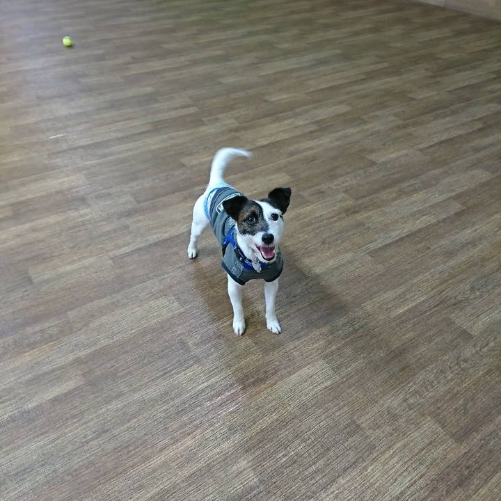 6afd8c0c bc92 489d b769 6fbf5c33fc30 1520496520159