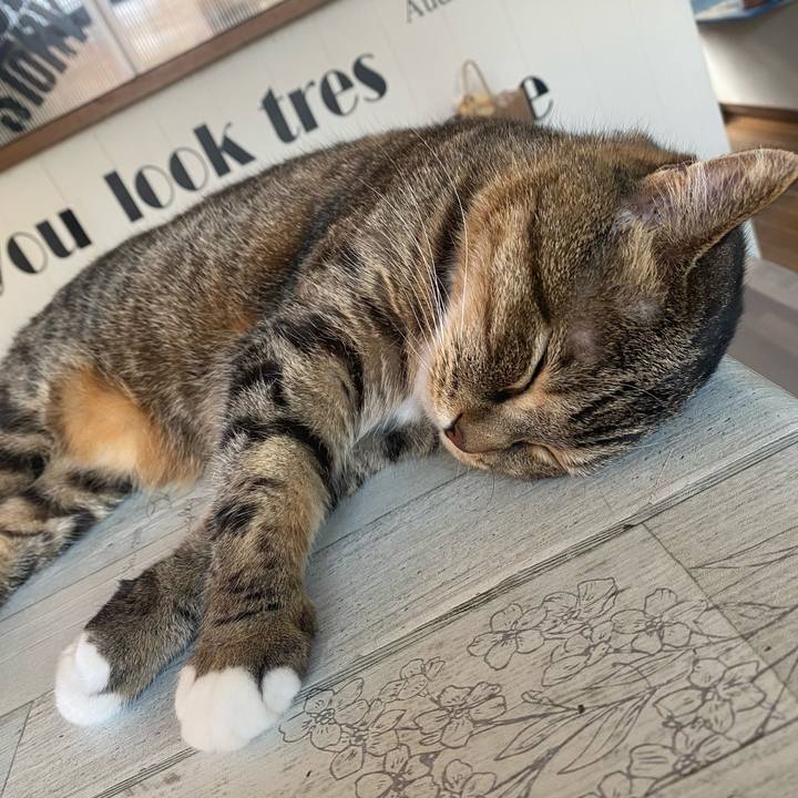 6afe1f8e 6572 4ec9 8a54 2f85051f00ee 1627194050063