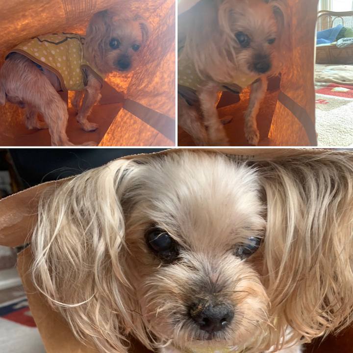 6afe24d7 6e6b 444d a161 a94f6e599898 1699524758763