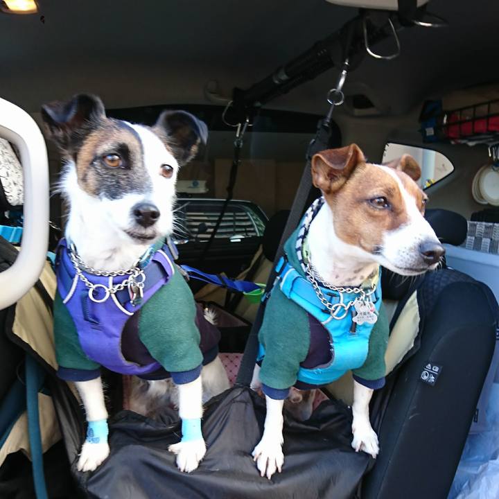 6afe29ed 7484 4f43 a086 48464a60c923 1613698102066