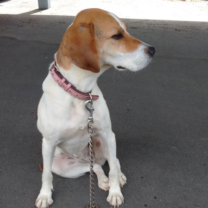 6afe3392 922d 40a5 8ff4 23dc69c378de 1595905495277