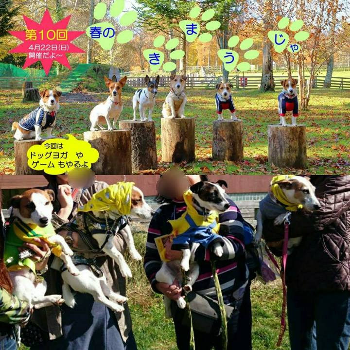 6afe33f7 3340 4517 bc8c b16fc5682833 1522799692296