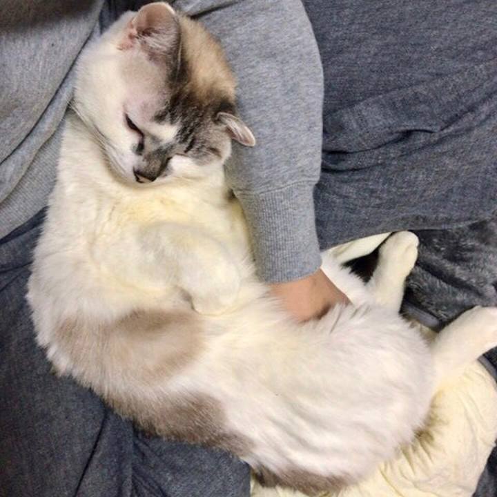 6afefe8c b7ca 4cf2 84ed 384d6a083809 1550514005004