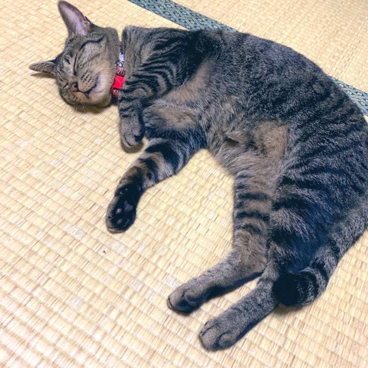 6aff06d7 e15c 4e5f aa60 9eb7d72c01ef 1567960188489