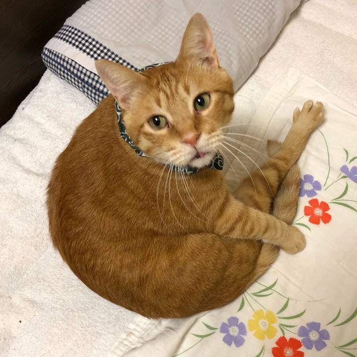 6aff0a83 194d 4f5b aef2 9709cd60c73b 1576913260881