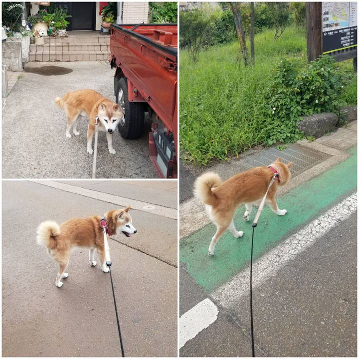 6affbcaf a575 47eb aa6b efaab681876a 1759045466498