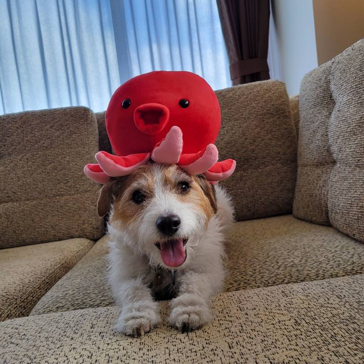 6affe7a4 46de 49f1 af3d 60aae153d55c 1717464827725