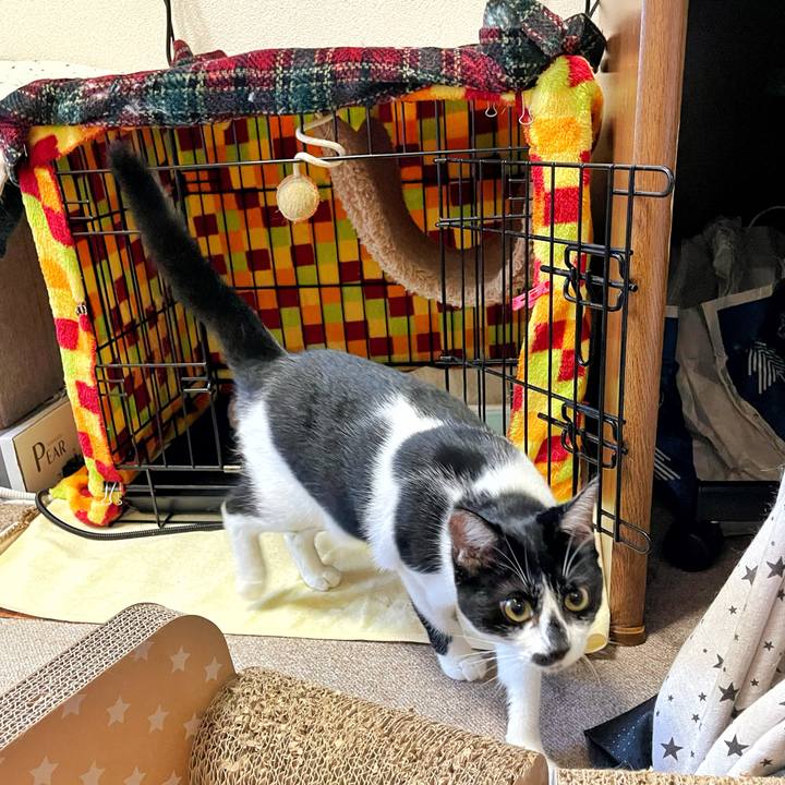 6afff5b6 b0cd 4181 9fe1 e891628e9547 1725231611457