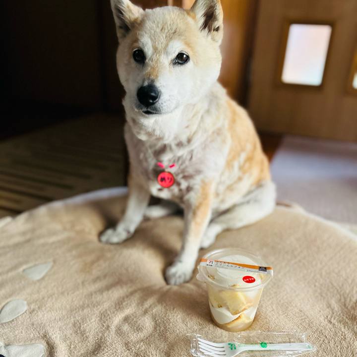 6afff881 080a 499c 9174 8776a719f1c5 1748232645101