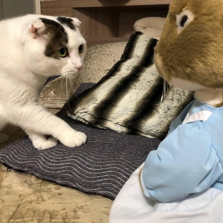 6affff53 ea64 4981 a810 2aa777a8190d 1570968344386