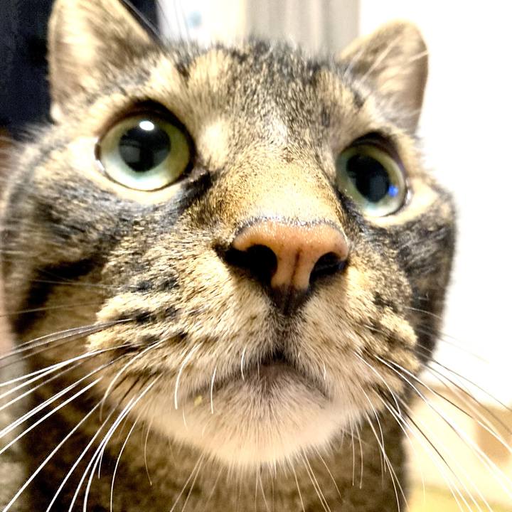 6b003aaf 47f8 4e80 8ddc 6fb8eb6f89a3 1664588489969