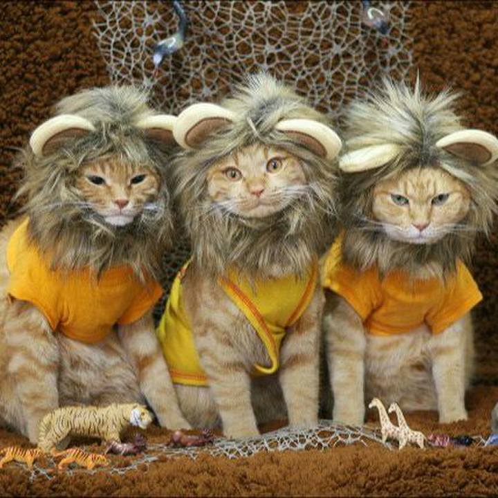 6b004a6b ff0b 4d21 b1f8 936a1b1e3c52 1566200652790