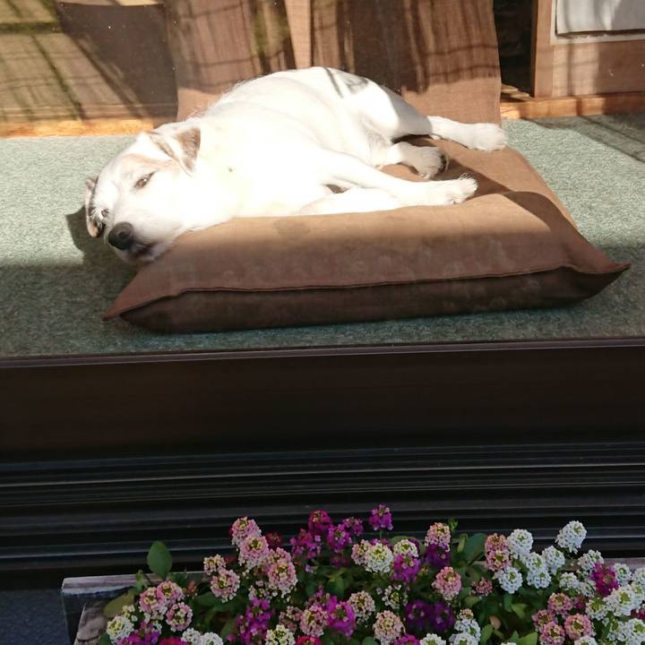 6b0096b3 f83f 44ac 9259 f68d9cb13002 1574209184226