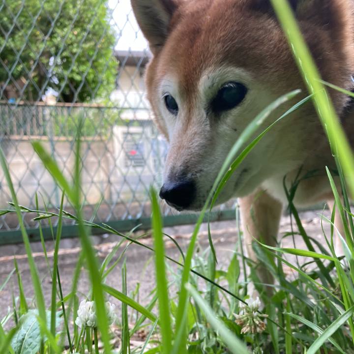 6b0099f5 c9c1 44eb a145 eb4c73c39f20 1717645341501