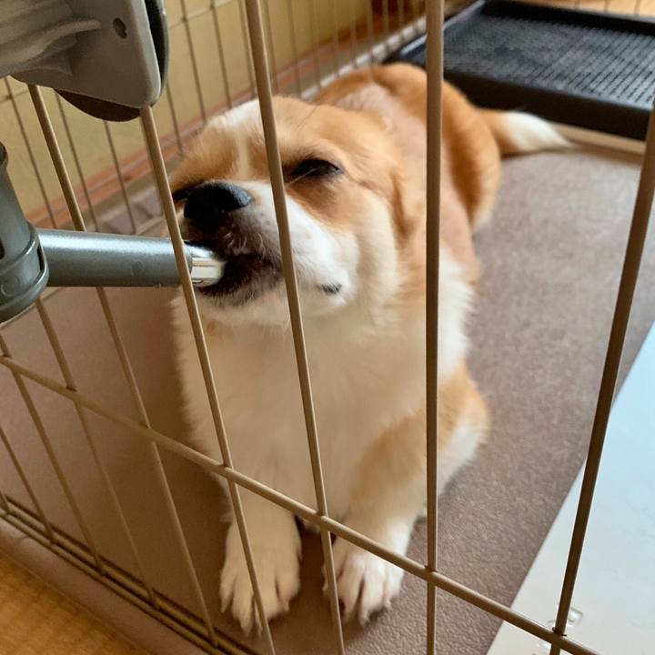 6b00e94d 7757 4a2e a647 0b129f74b55c 1565593522217