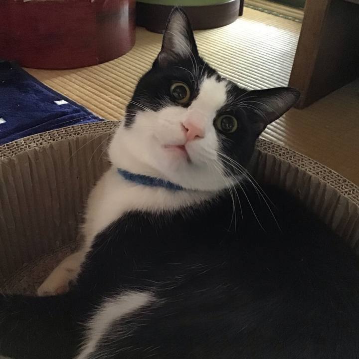 6b00f20b c489 4bd3 947a 783b1fdc94ab 1704948890059