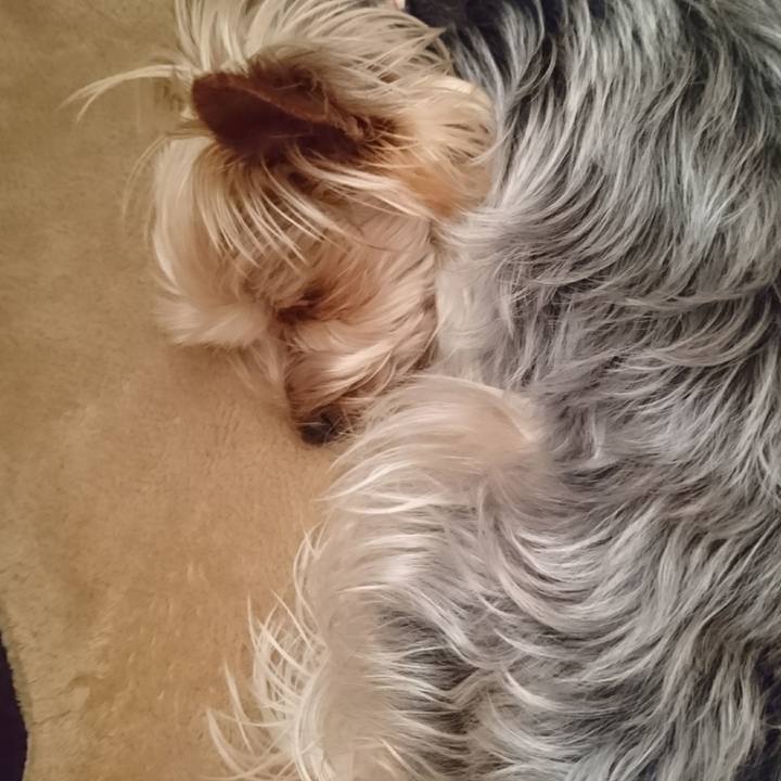 6b00f9c2 fa25 4073 b764 44d19790f4b3 1524193447226