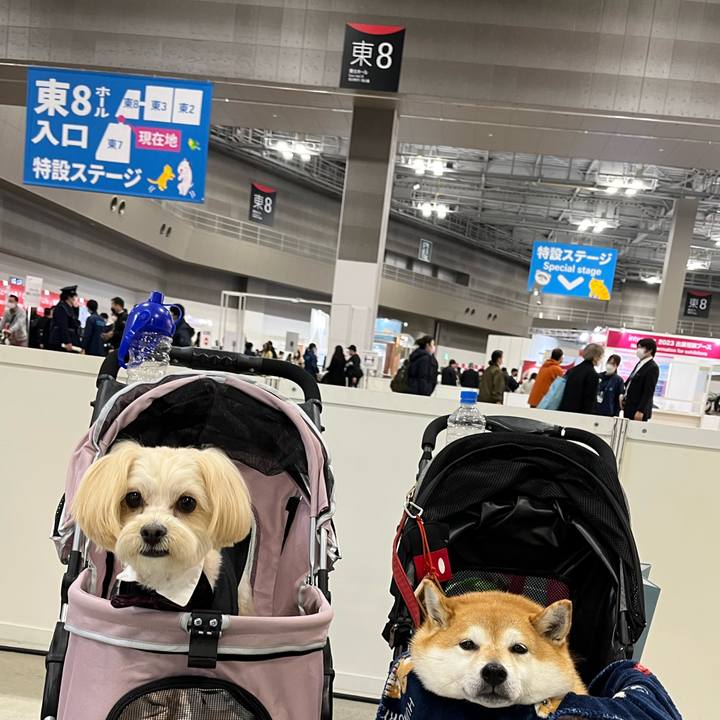 6b010158 67e0 447a b1df 86c3b46648ea 1648986144196