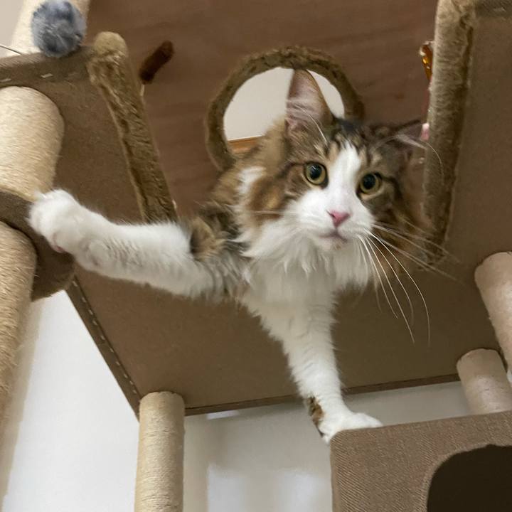 6b01191d ca93 4714 a970 46525516e3a2 1665864131584