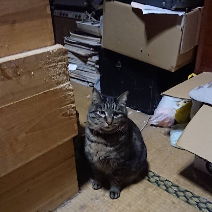 6b01361a 8ae3 4ba9 961b 2a783f937fcd 1643891206956