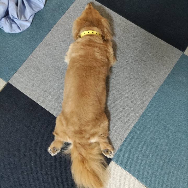 6b0147cc dfd1 4955 9ac5 47b09f876eb7 1661297937313