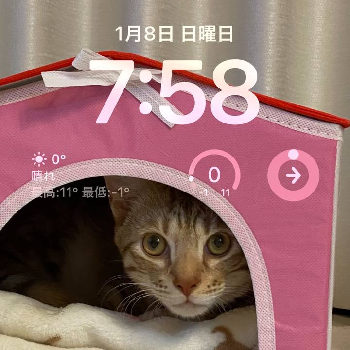 6b0178de 60ab 4dce 8bff c020a7060d48 1673132461780