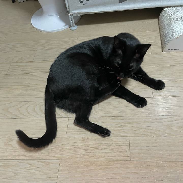 6b018025 4d42 4f1b af26 99709e075be1 1763987378508