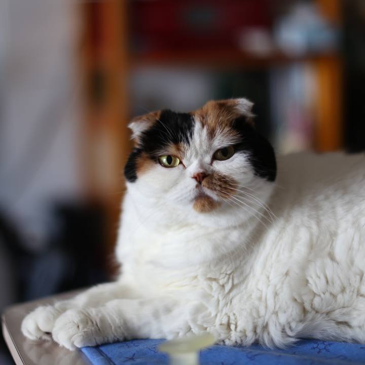 6b01a83d 352a 4968 b507 ac5203032493 1602036166317