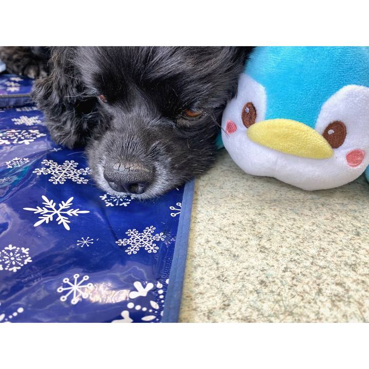 6b01b74e 6f88 489f 89eb 4c3874997599 1597154520323