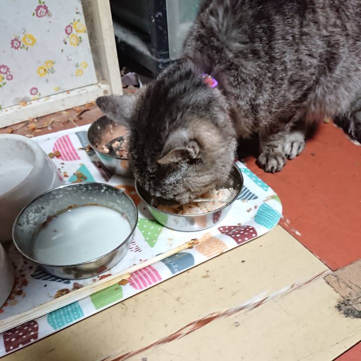 6b01ce56 65f0 4be2 b176 fed43543015e 1590093366774