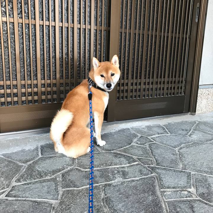 6b01dc8b 6d2e 45f0 a5d3 934d1fb319ea 1509785590799