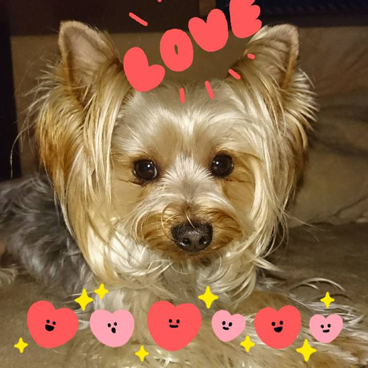 6b01f41c d3f1 4fdb bb15 bae0bb900015 1550098981157