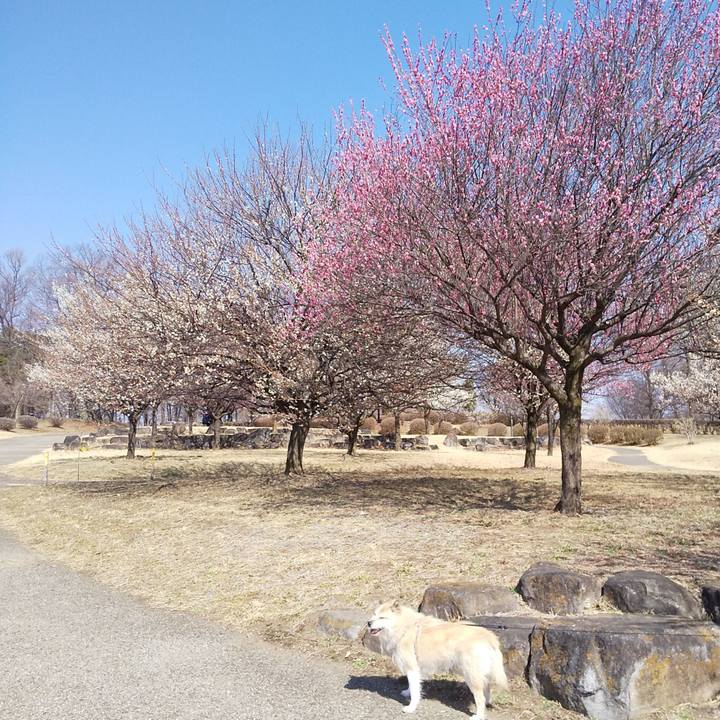 6b021a9d ddb3 47b9 8540 d6f5e1a077e5 1551503512209