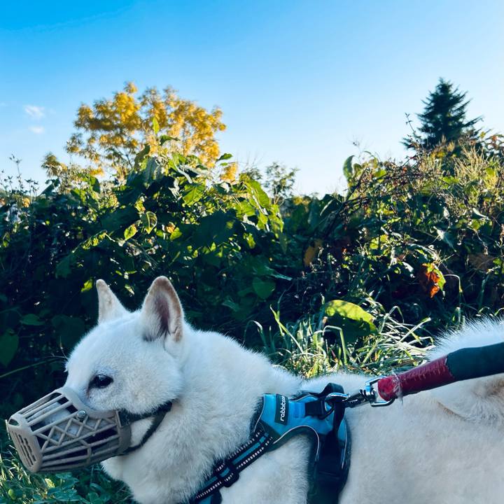 6b024794 02fe 4cf8 85e8 3c1b57c67dbc 1727736012897